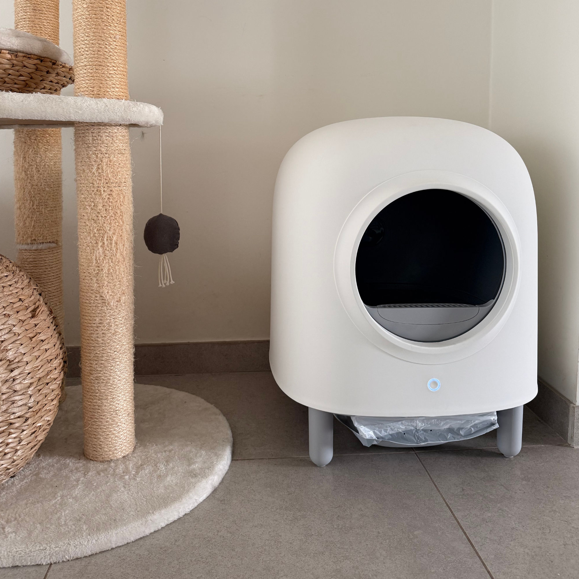 PRE ORDER - Petree Cube - Zelfreinigende kattenbak