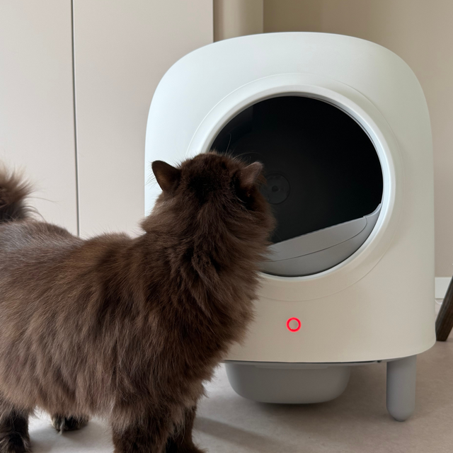 Petree Cube - Zelfreinigende kattenbak