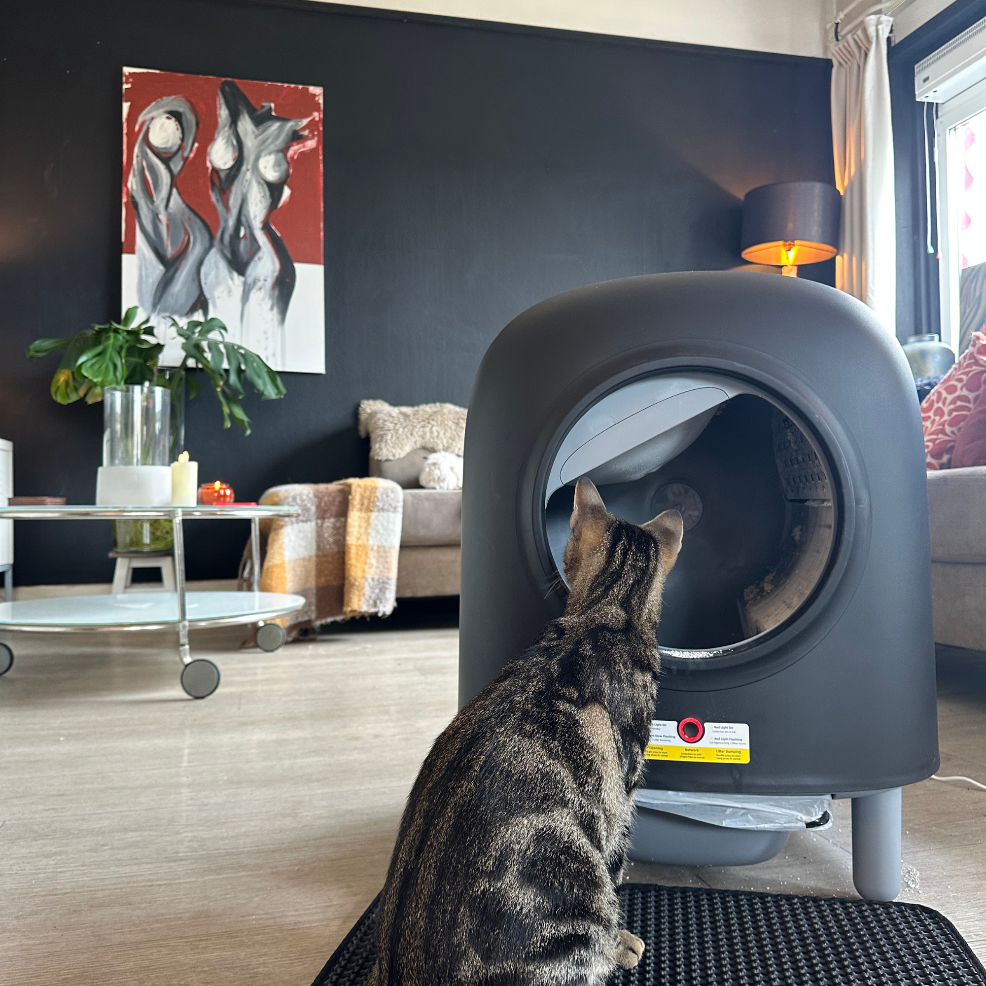 VORBESTELLUNG – Petree Cube – Selbstreinigende Katzentoilette – Black Edition