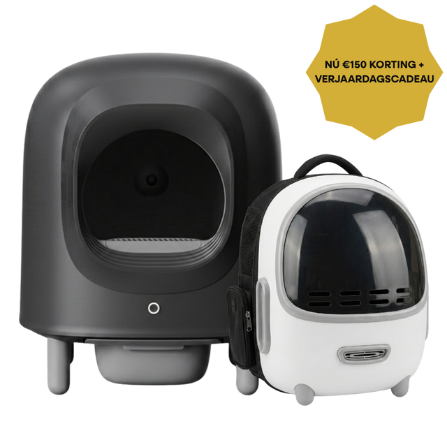 Petree Anniversary Bundle - Cube v2 Black Edition + Petree Go Wit