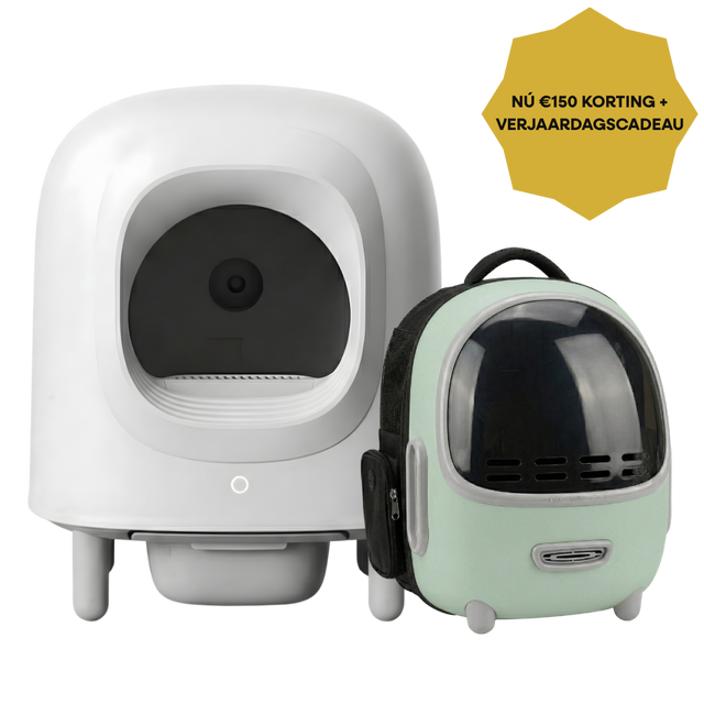Petree Anniversary Bundle – Cube v2 White Edition + Petree Go Mint Green