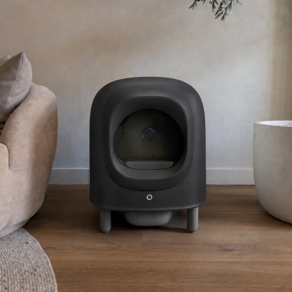 Petree Cube v2 – Selbstreinigende Katzenklo – Black Edition
