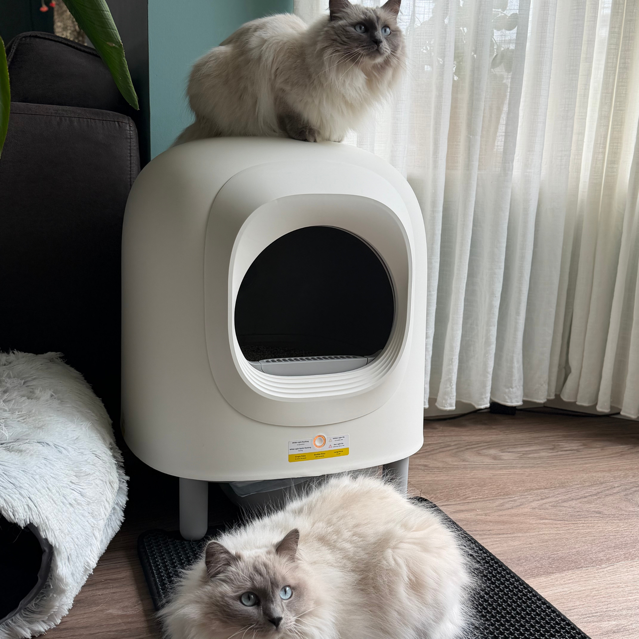 Petree Cube v2 – Self-Cleaning Litter Box