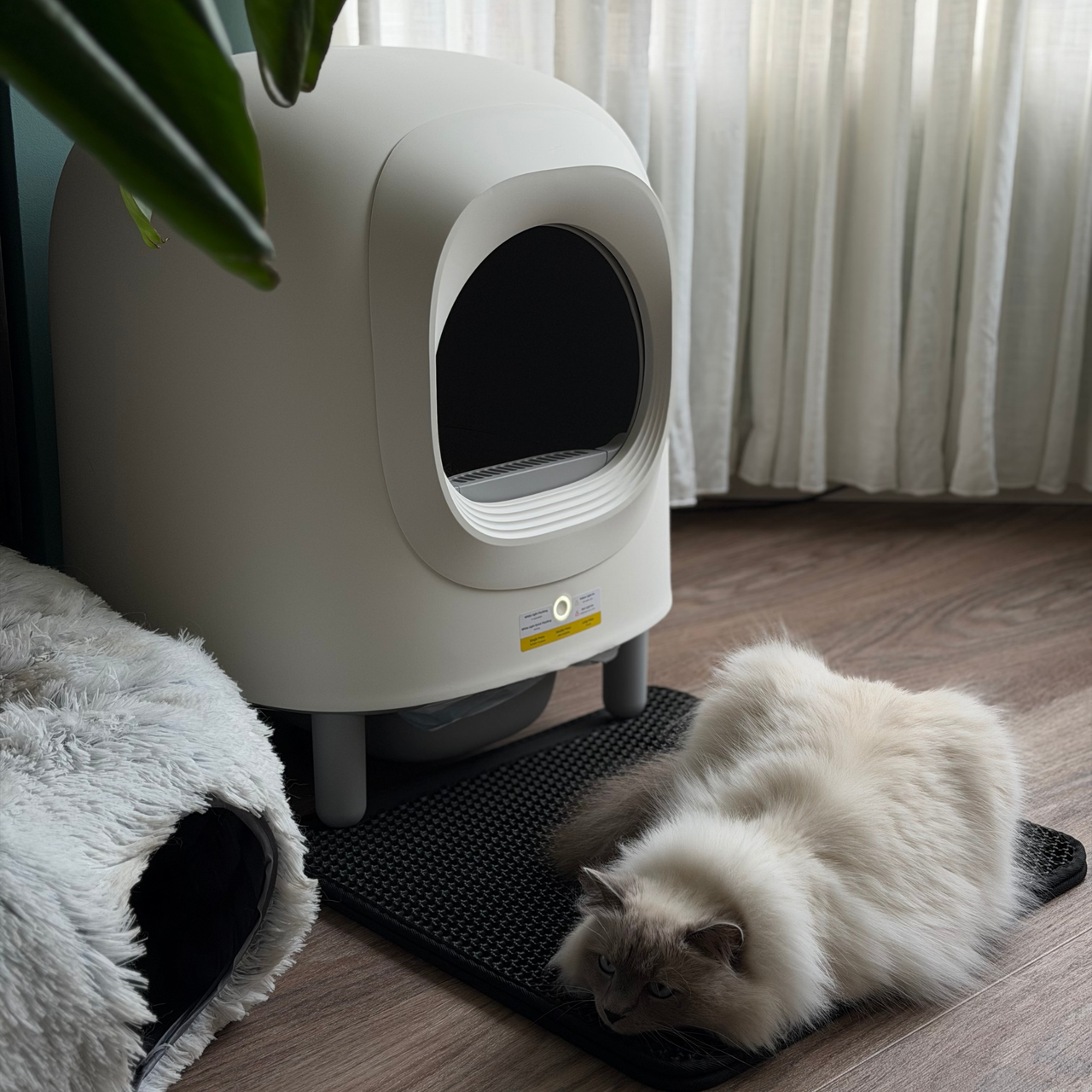 Petree Cube v2 – Self-Cleaning Litter Box