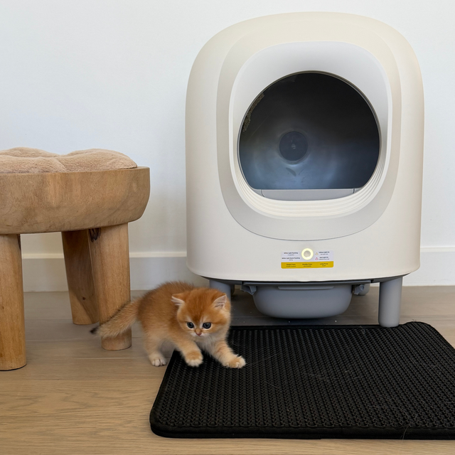 Petree Cube v2 - Self-Cleaning Litter Box