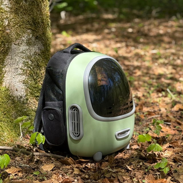 Petree Go – Intelligente Transporttasche – Mintgrün