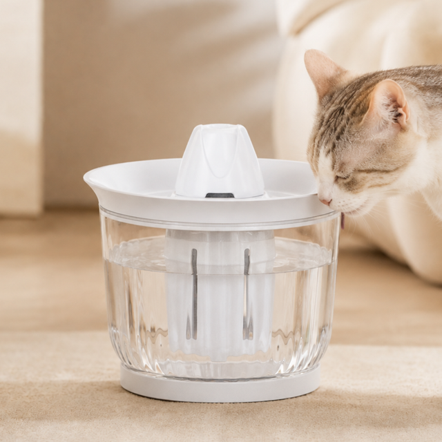 Petree Splash – Water Fountain