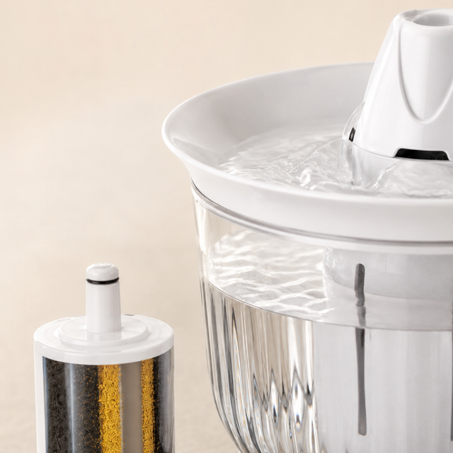 Petree Splash – Filtres